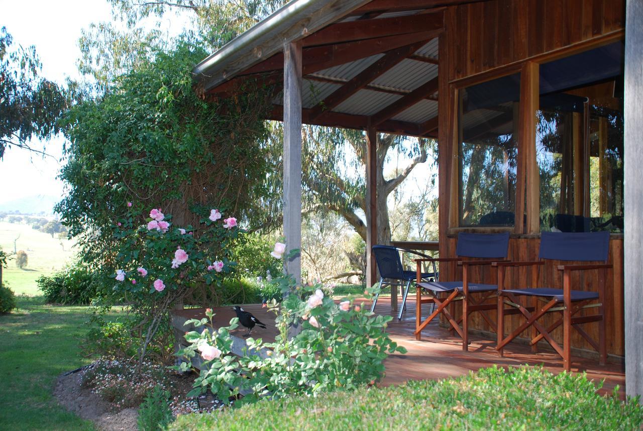 Bluegum Ridge Cottages Merrijig Bagian luar foto