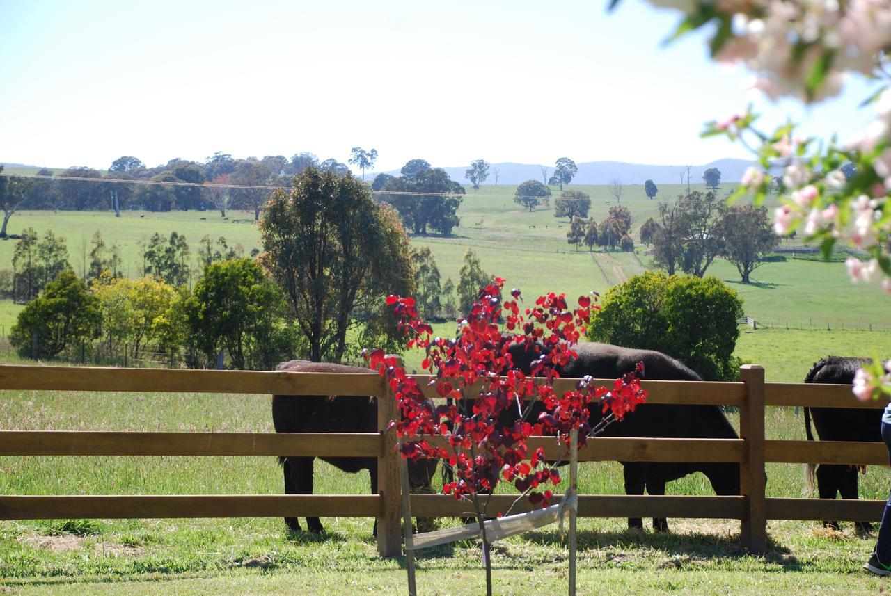 Bluegum Ridge Cottages Merrijig Bagian luar foto