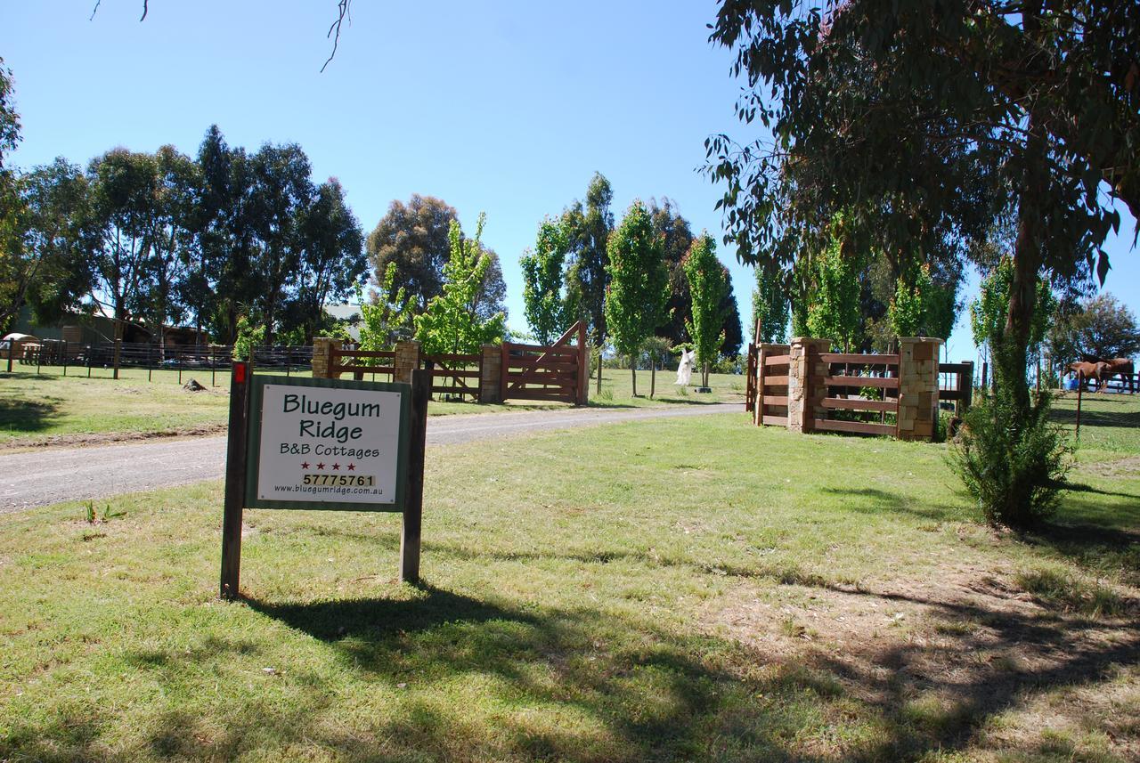 Bluegum Ridge Cottages Merrijig Bagian luar foto