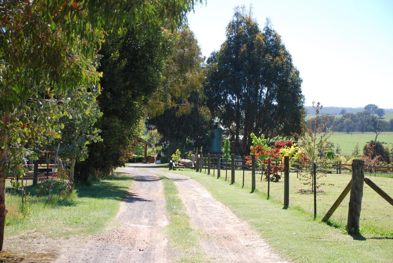 Bluegum Ridge Cottages Merrijig Bagian luar foto