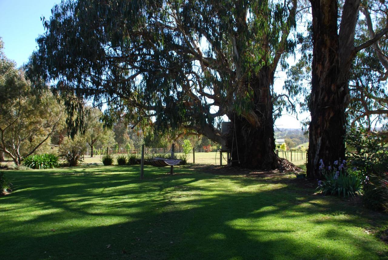 Bluegum Ridge Cottages Merrijig Ruang foto