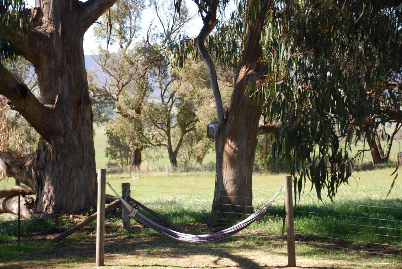 Bluegum Ridge Cottages Merrijig Ruang foto