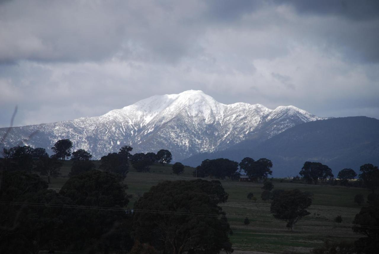 Bluegum Ridge Cottages Merrijig Ruang foto