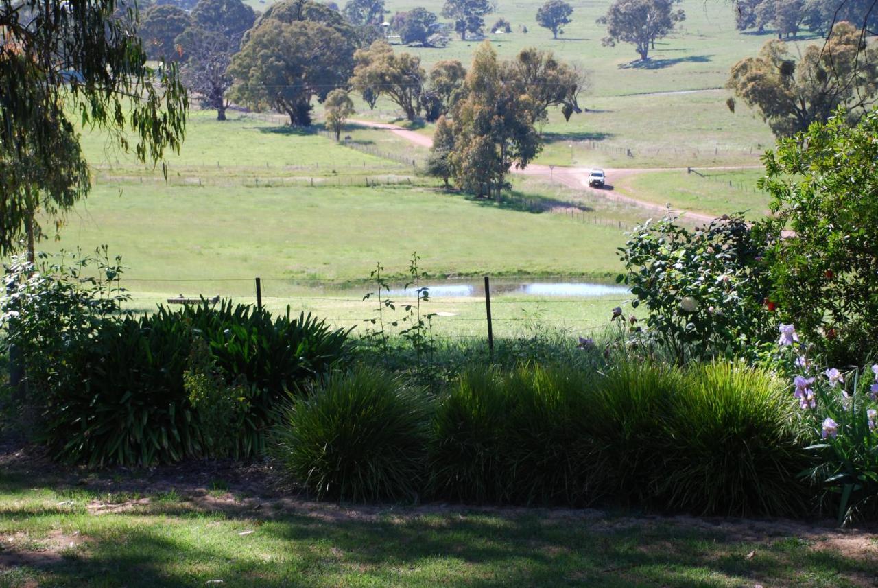 Bluegum Ridge Cottages Merrijig Ruang foto